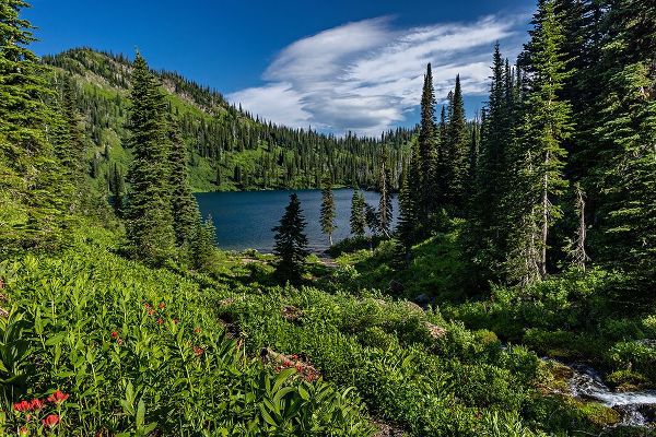 Haney, Chuck 아티스트의 Wildcat Lake in the Jewel Basin Hiking Area of Flathead National Forest-Montana-USA작품입니다.